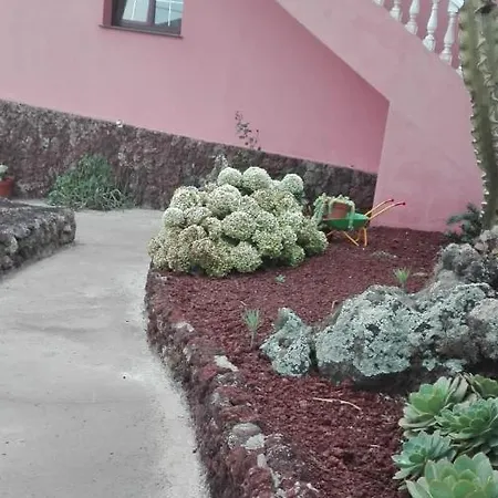 Διαμέρισμα Cactus