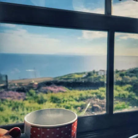 Διαμέρισμα Cactus