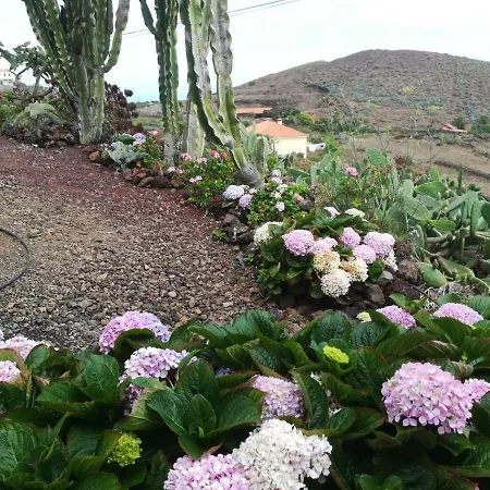 Cactus Διαμέρισμα