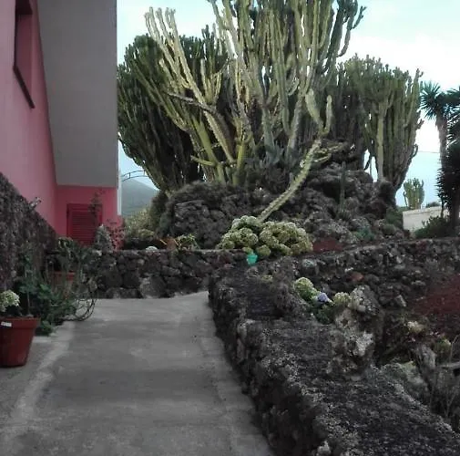 Cactus Echedo