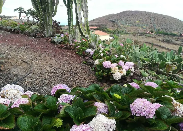 Cactus Apartmán