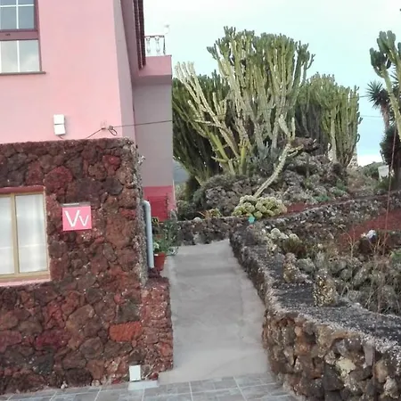 Cactus * Echedo