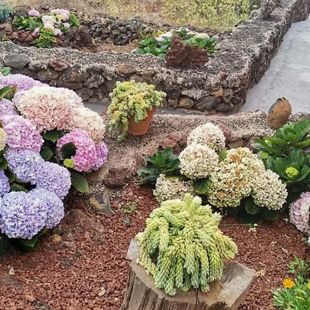 Apartamento Cactus