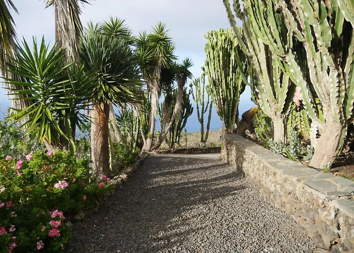 Cactus Lejlighed