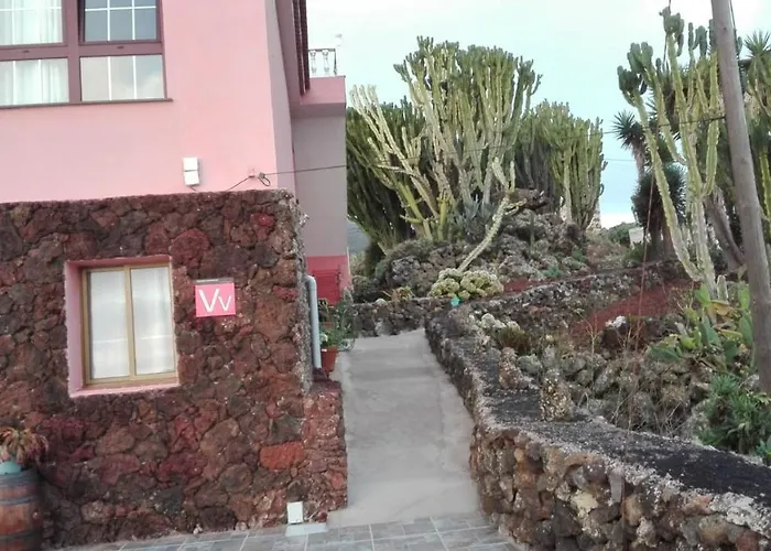Cactus * Echedo